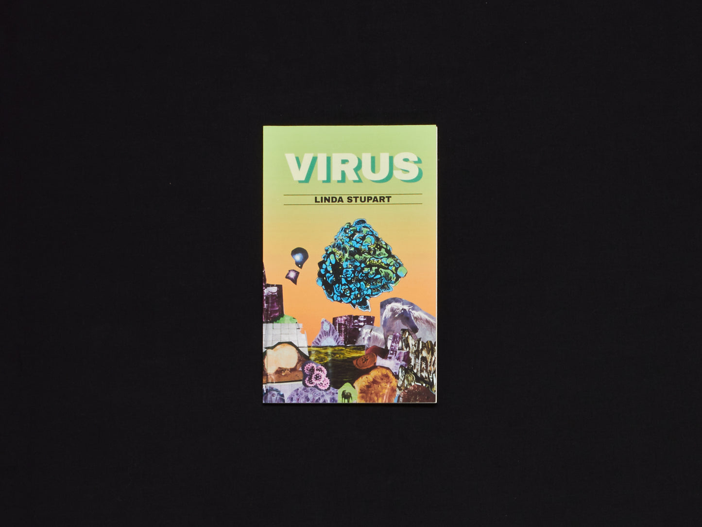 Linda Stupart, Virus