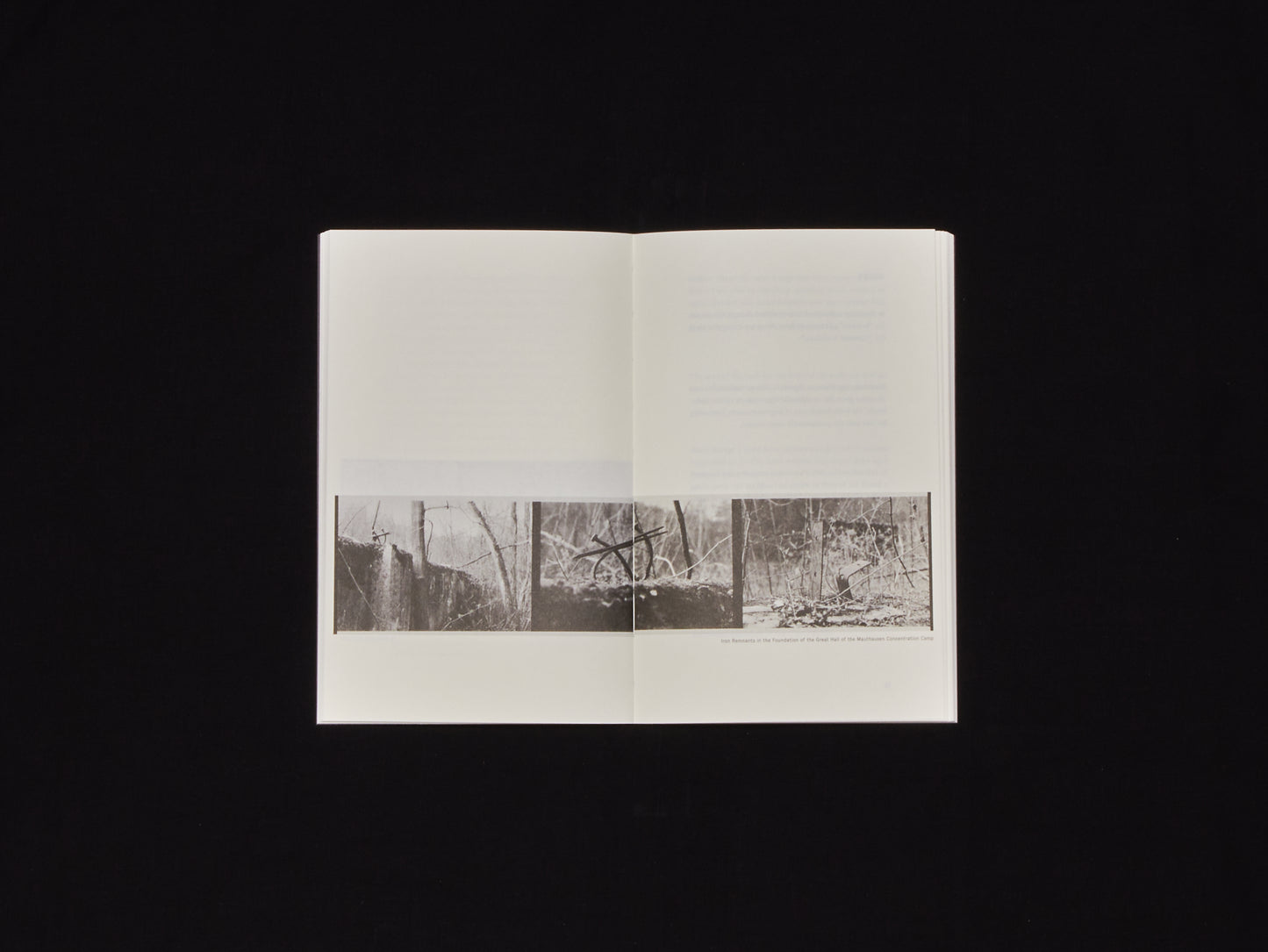 Heimrad Bäcker, Documentary Poetry