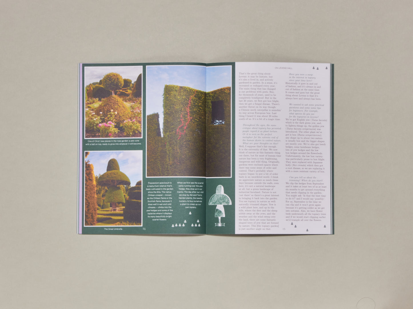 Pleasant Place Issue 6: Topiary