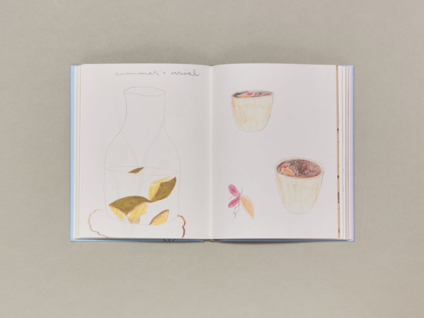 Johanna Tagada Hoffbeck, Carnets