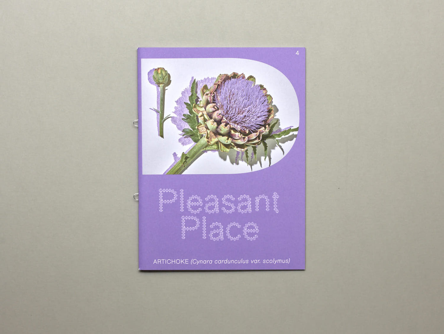 Pleasant Place, Issue 4: Artichoke