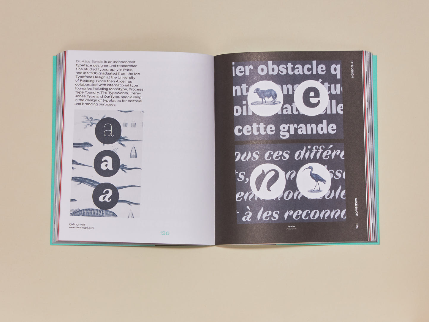 Femme Type: A book celebrating women in the type industry