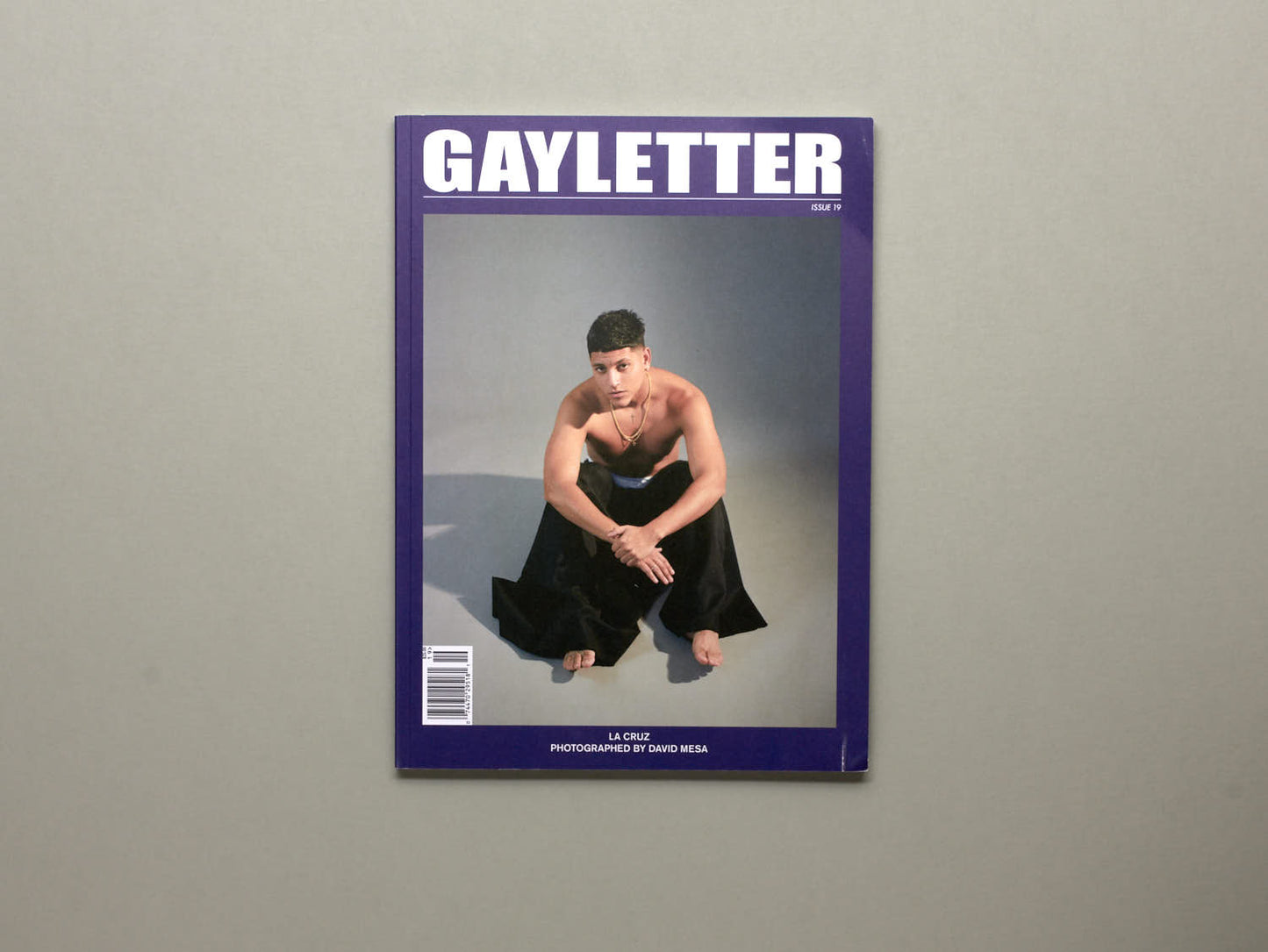 GAYLETTER, issue 19