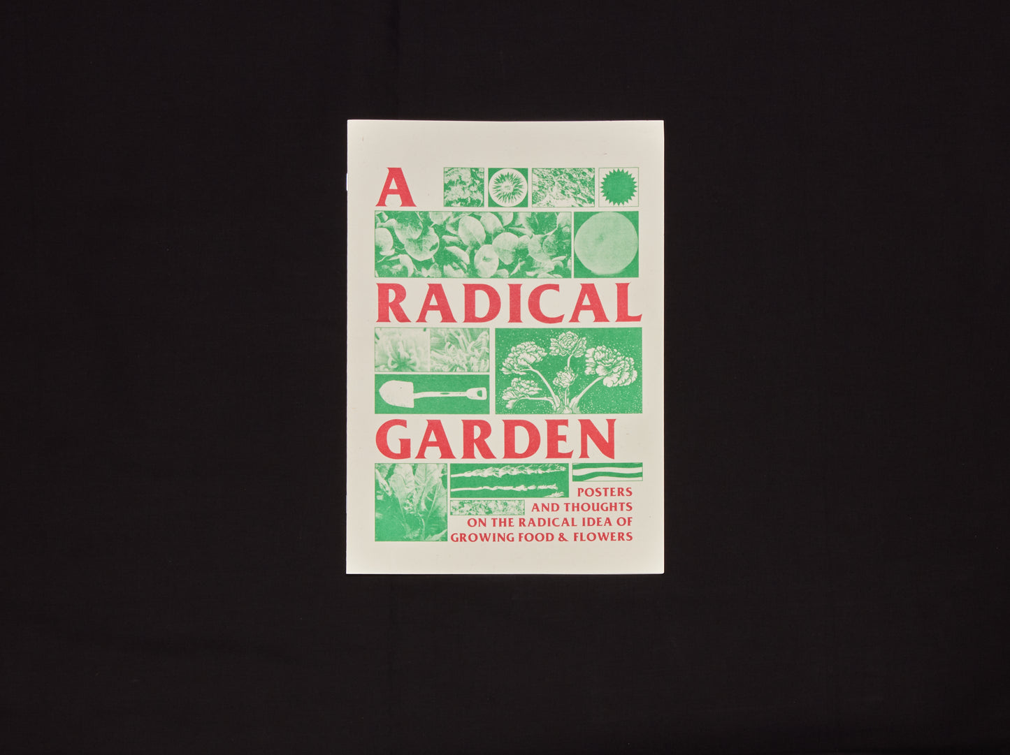 A Radical Garden