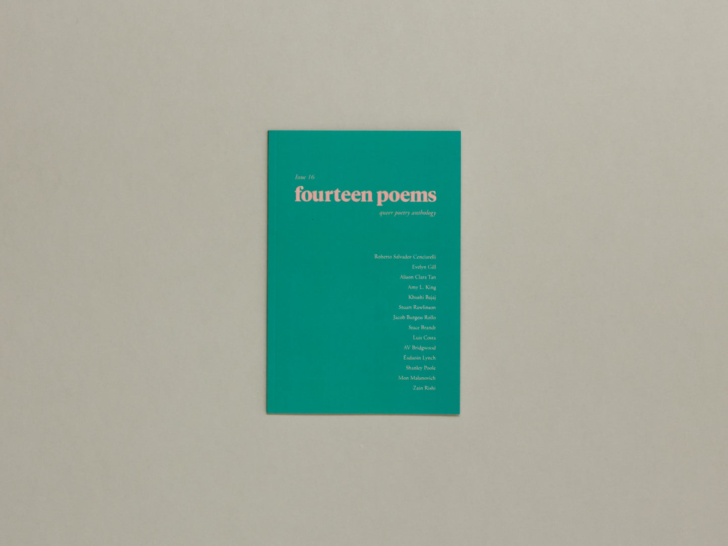 Fourteen Poems Issue 16