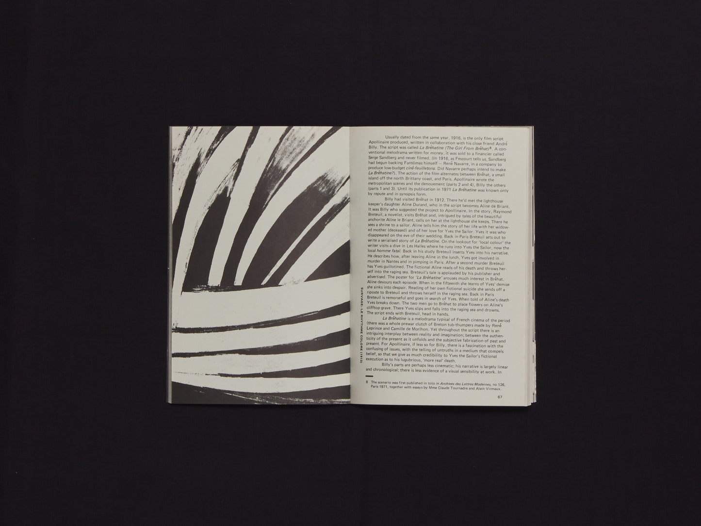 Afterimage No. 10, Myths of Total Cinema