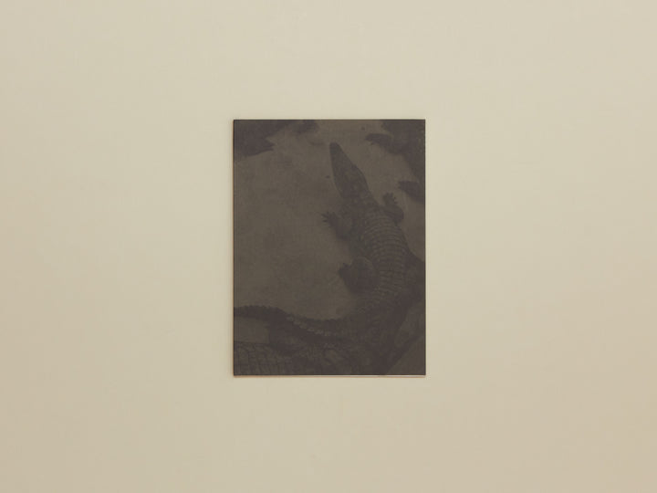 Laurent Chardon, Rester