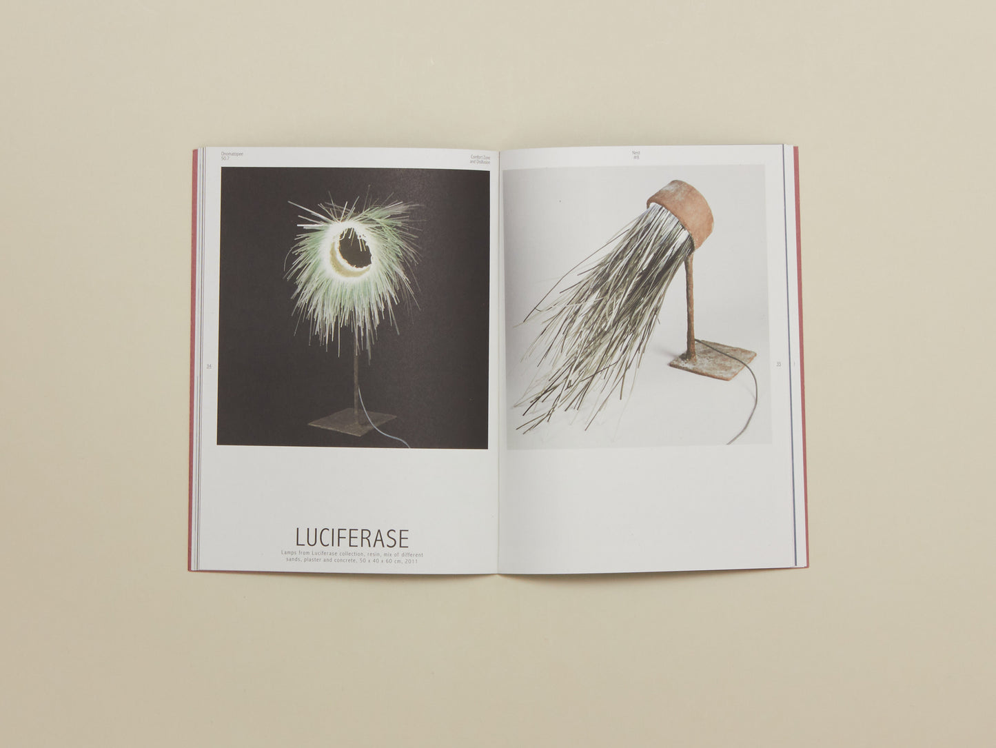 Nest Project 2011: Comfort Zone and Disillusion