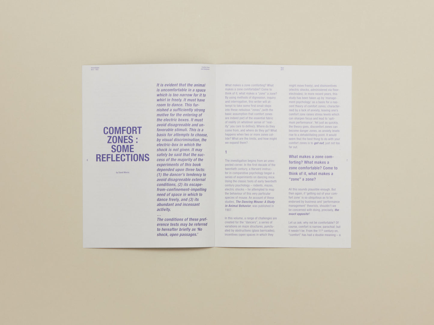 Nest Project 2011: Comfort Zone and Disillusion