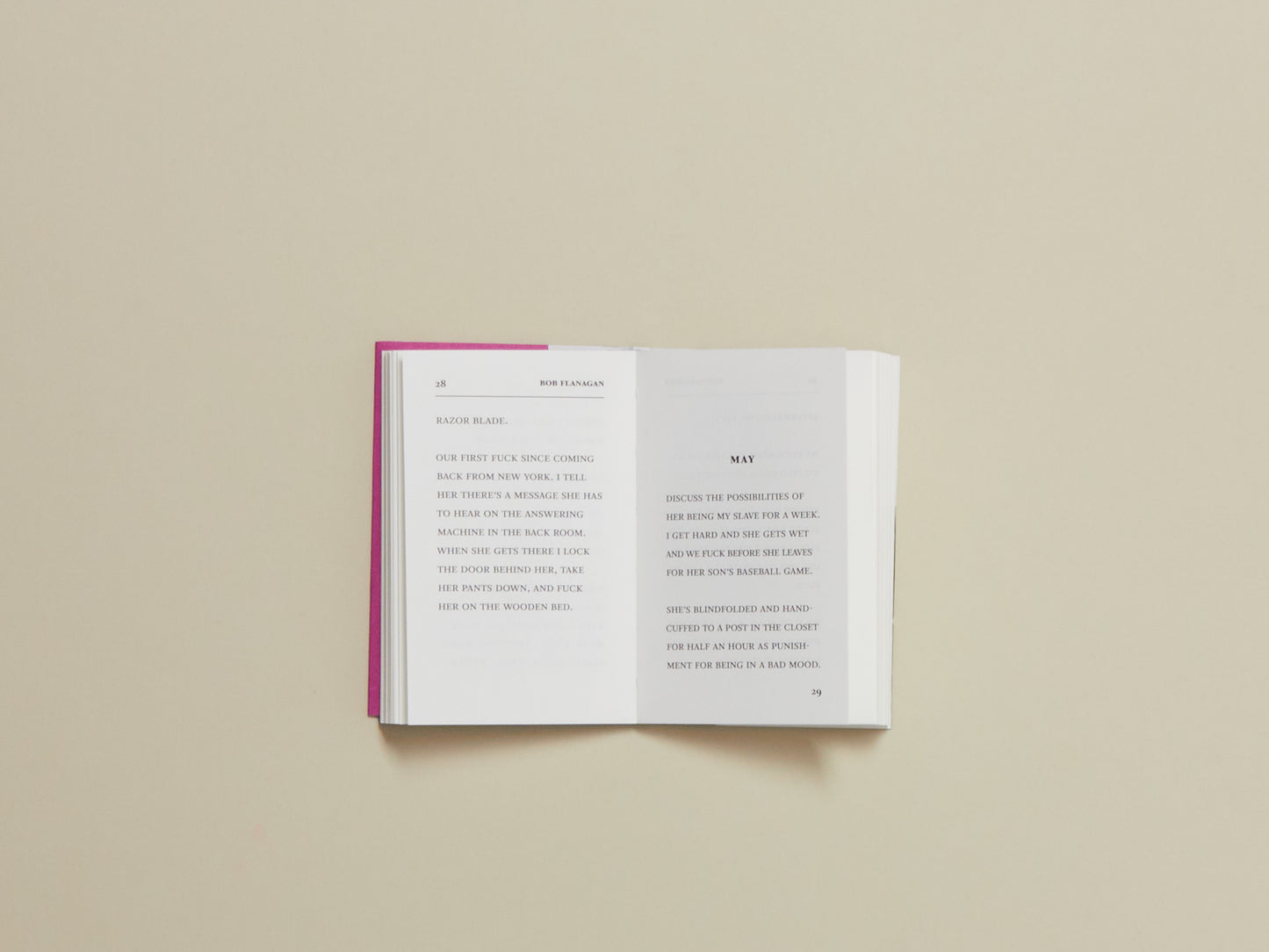Bob Flanagan, Fuck Journal