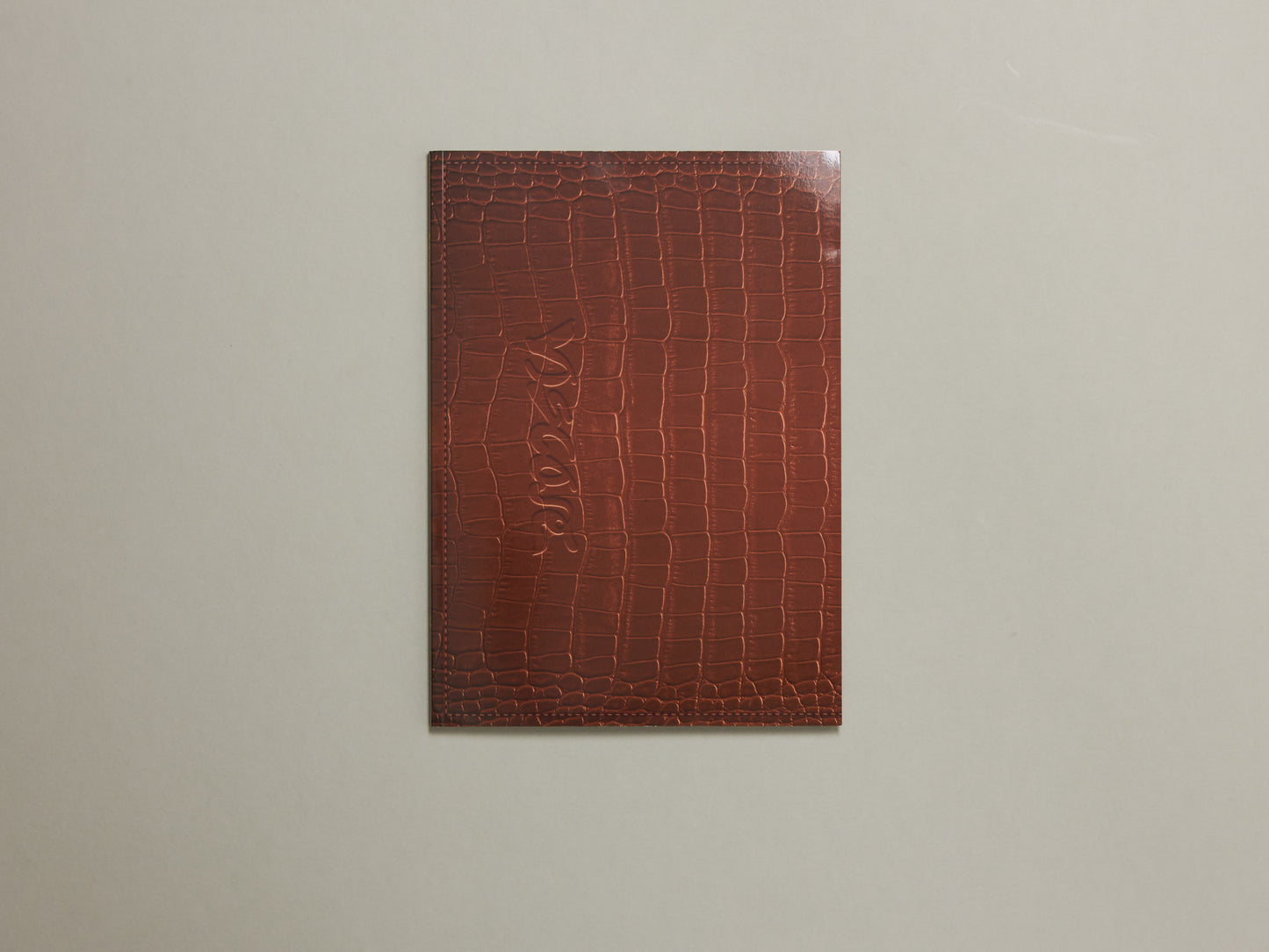 Viscose Journal 01: STYLE
