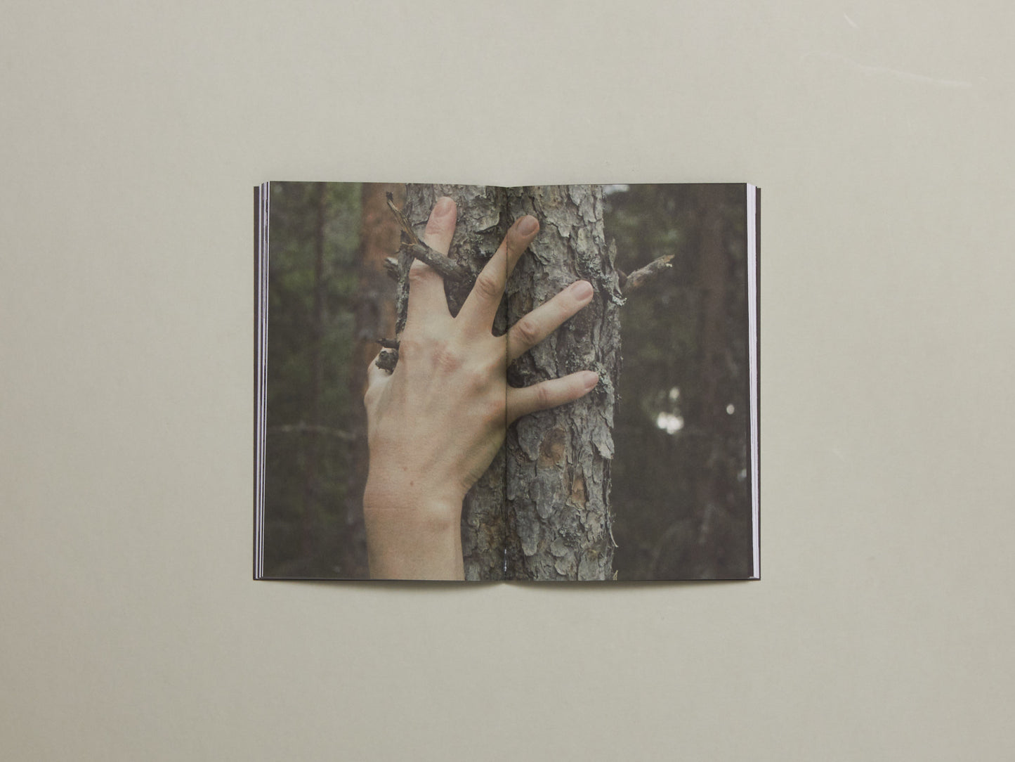 Becoming the Forest V
