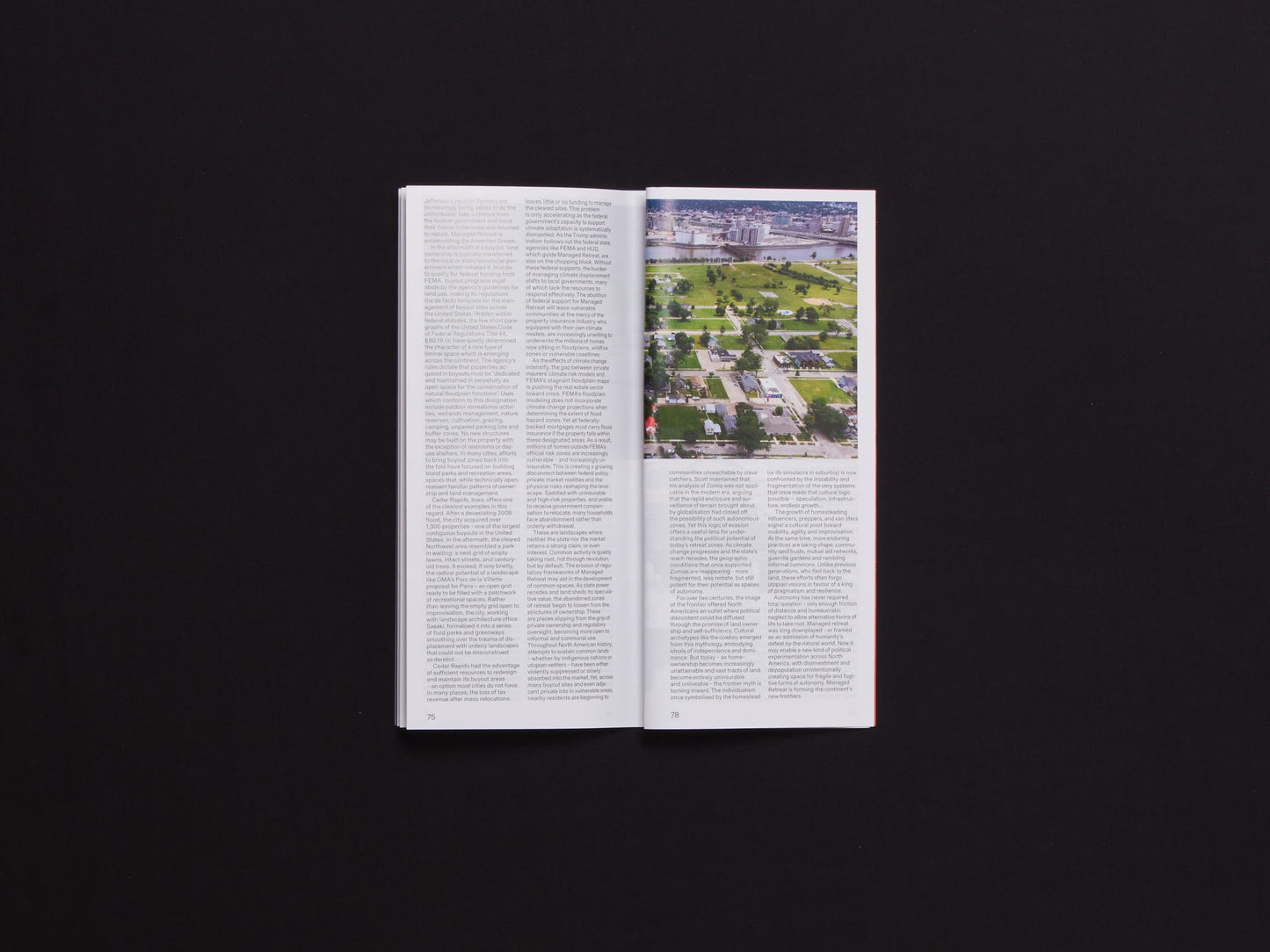Real Review, Issue 17