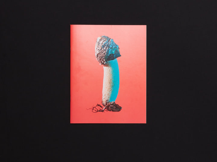 Phyllis Ma, Mushrooms & Friends, Issue 3