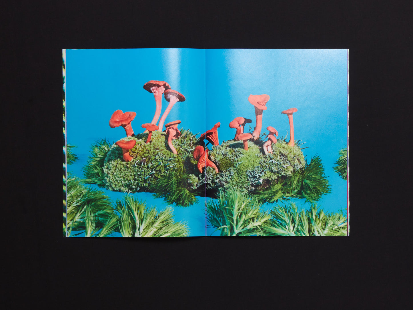 Phyllis Ma, Mushrooms & Friends, Issue 3