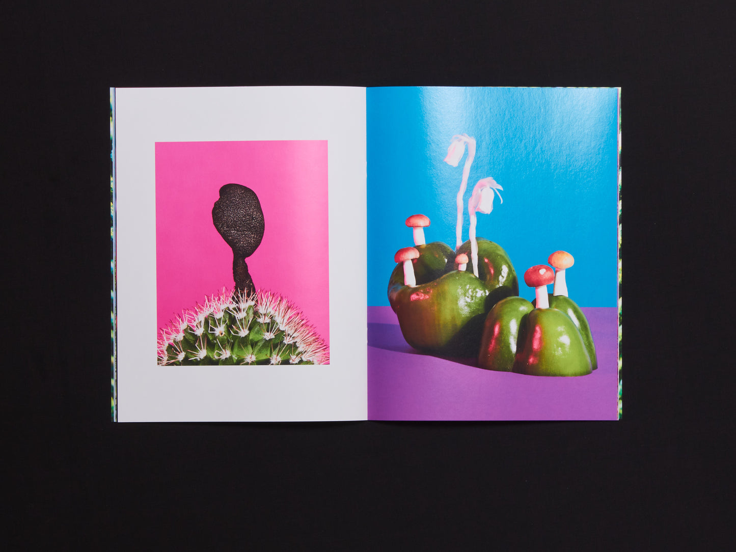 Phyllis Ma, Mushrooms & Friends, Issue 3