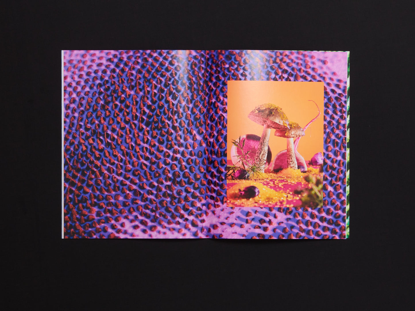 Phyllis Ma, Mushrooms & Friends, Issue 3