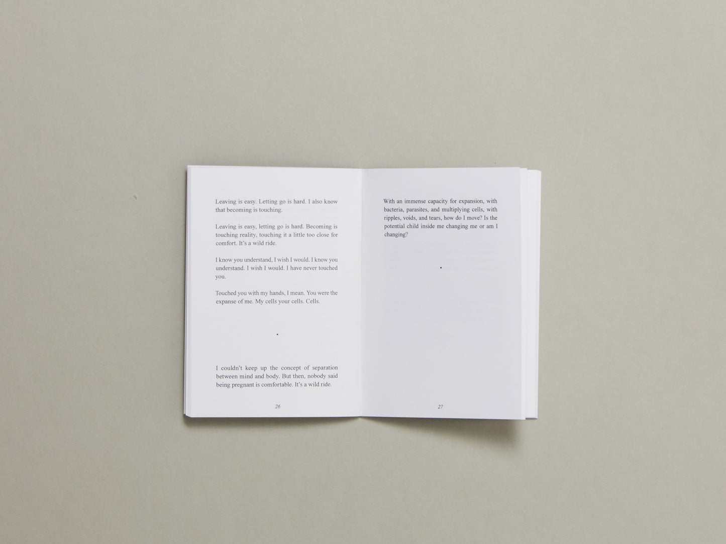 Magdalena Jadwiga Härtelova, It Is: You Appeared Once, A Story about Potential Dimensions, Abortion and the Blurry Appearing and Disappearing of Matter