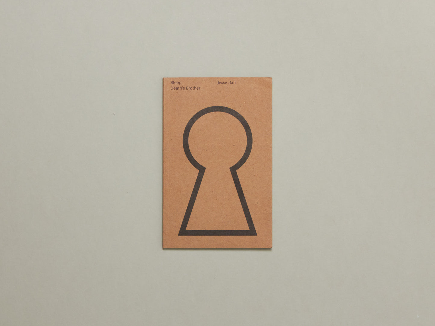 Jesse Ball, Sleep, Death’s Brother