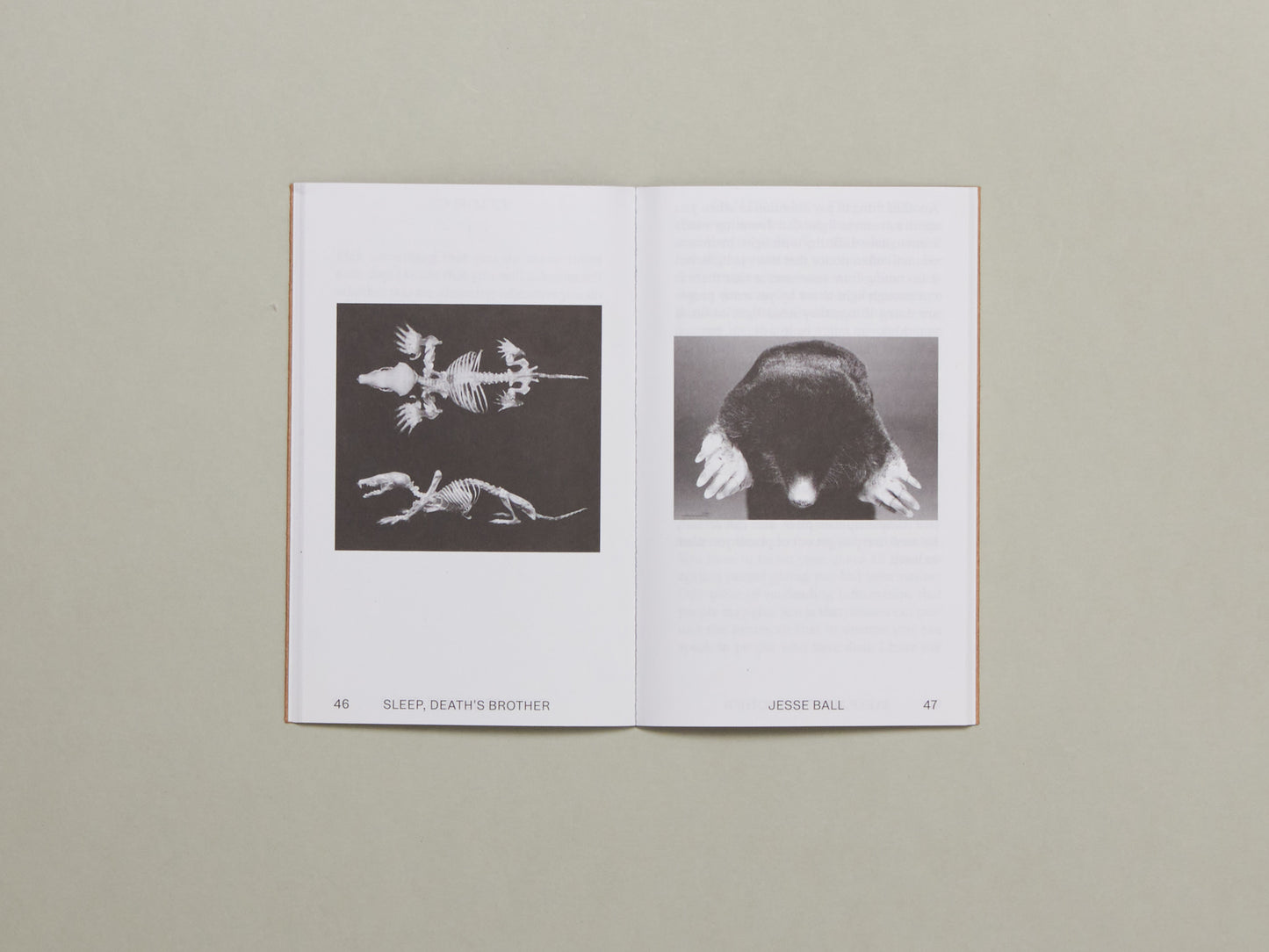 Jesse Ball, Sleep, Death’s Brother