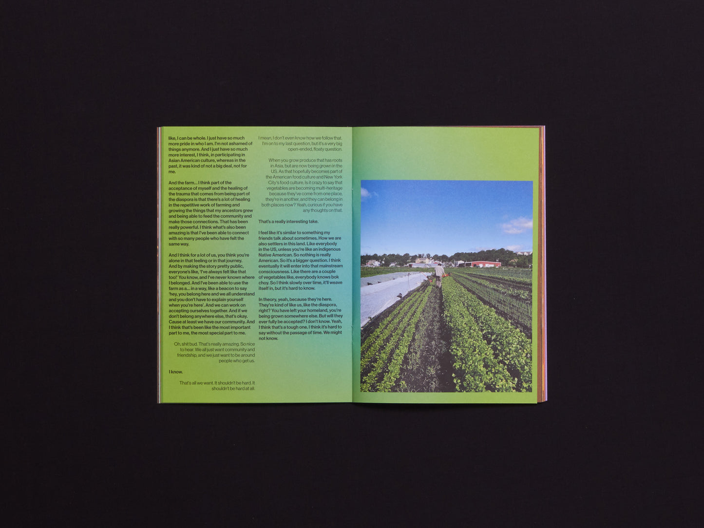 FatBoy Zine Issue 6: Multi-Heritage. Together, Not Apart