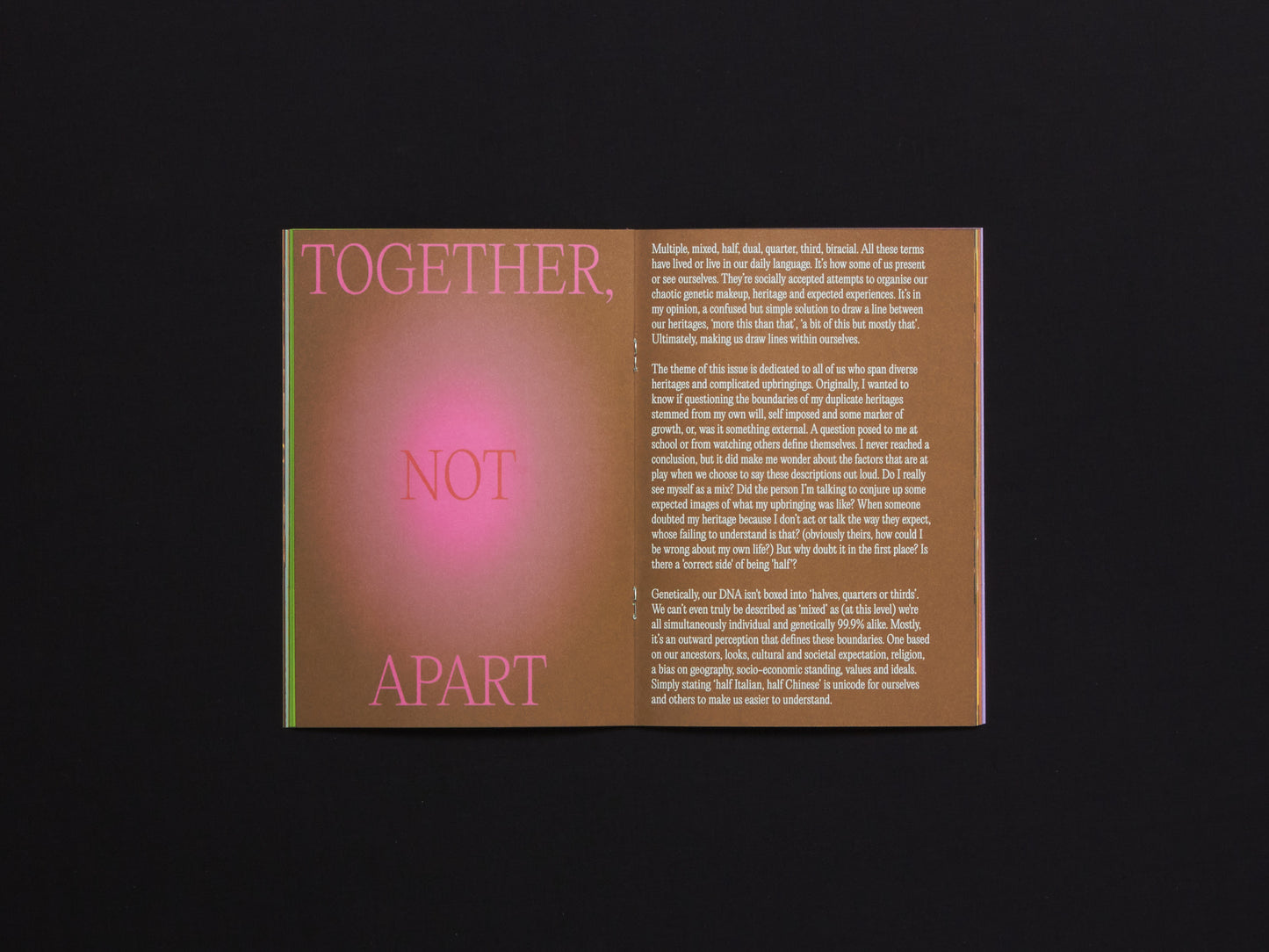 FatBoy Zine Issue 6: Multi-Heritage. Together, Not Apart