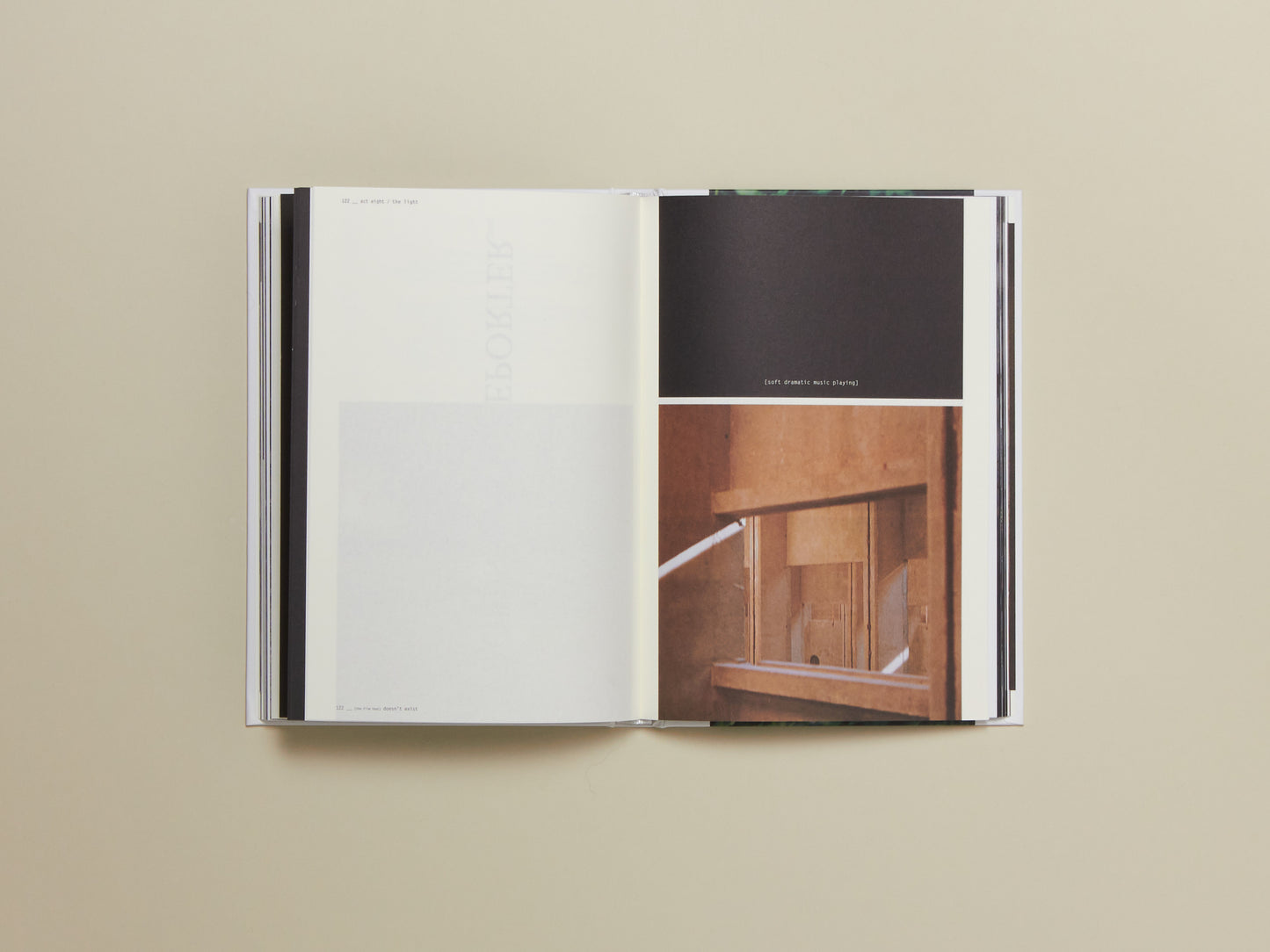 Doesn't Exist Issue 3: Michelangelo Antonioni
