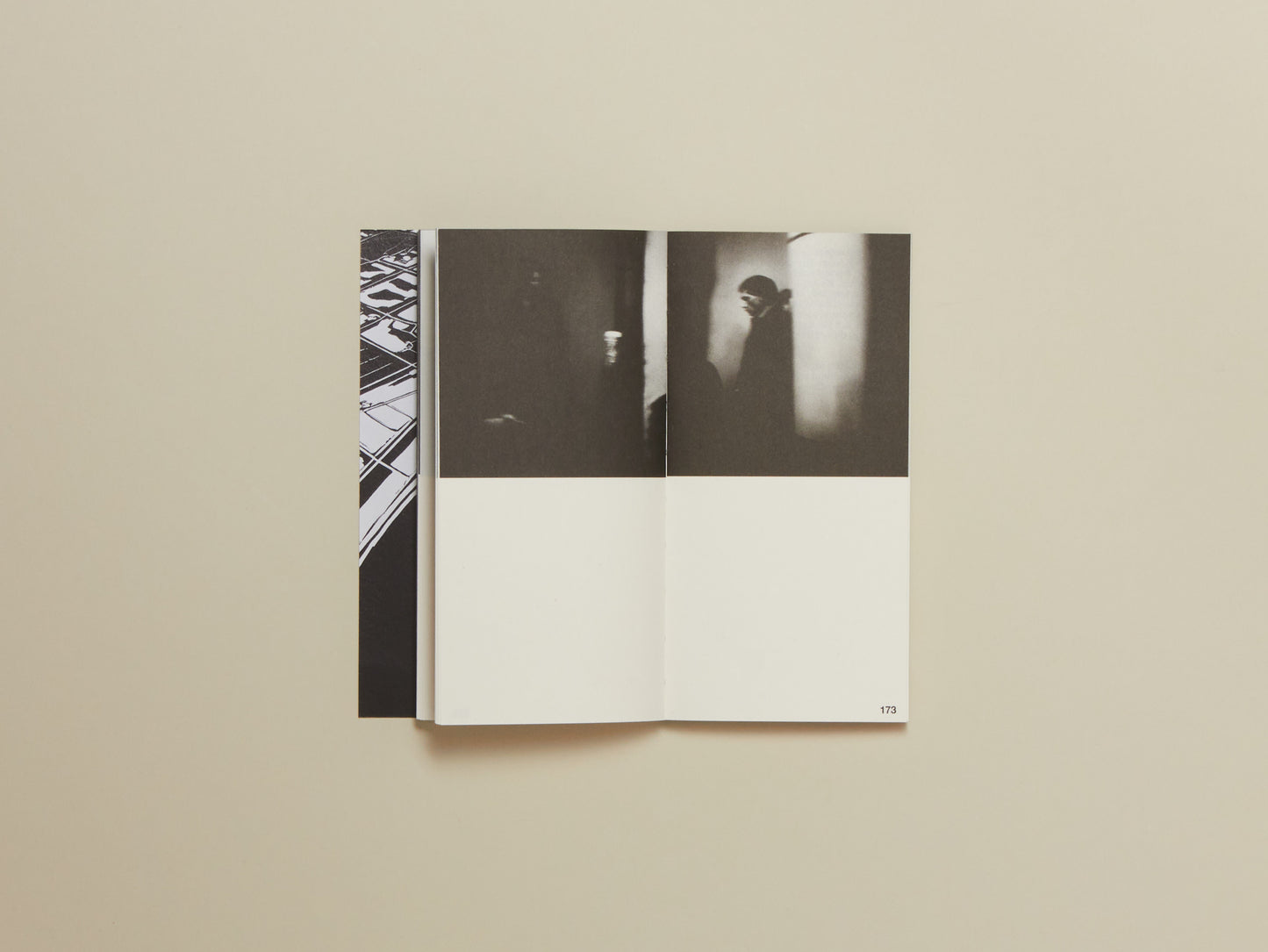 Franco Dupuy, Cruising Diaries