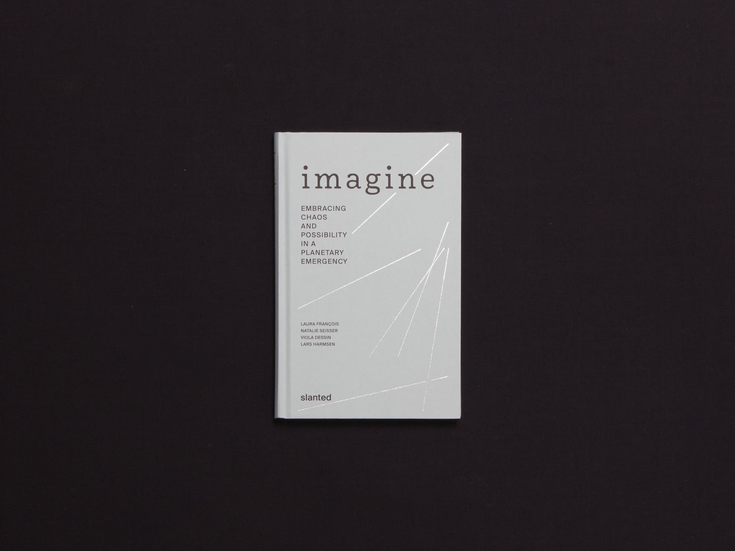 Imagine - Embracing Chaos and Possibility in a Planetary Emergency