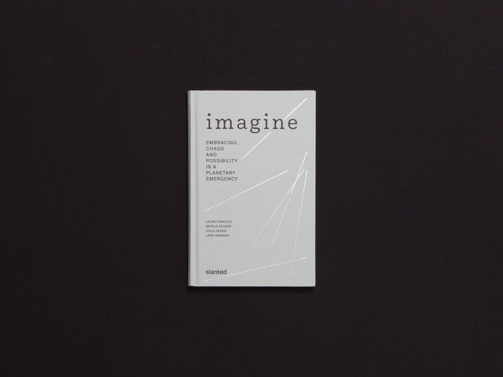 Imagine - Embracing Chaos and Possibility in a Planetary Emergency