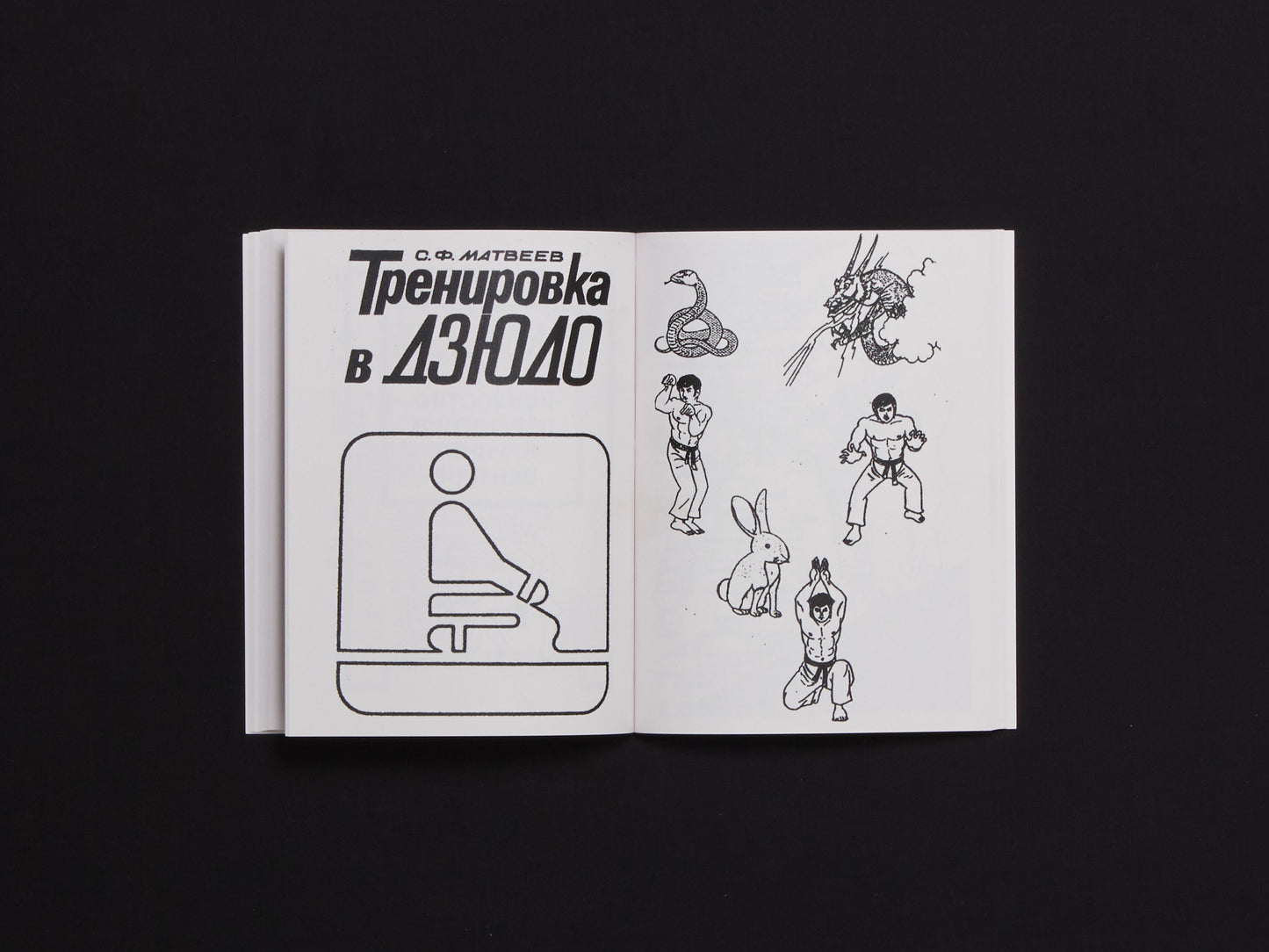 Post-soviet Martial Art illustrations