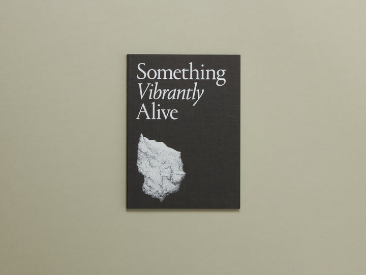 Jean-Christophe Arcos, Something Vibrantly Alive