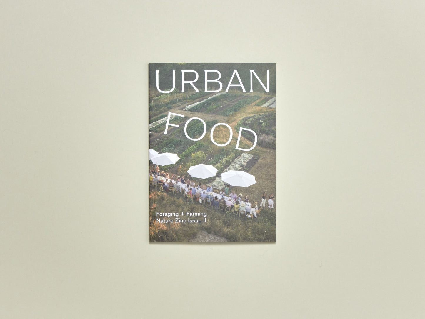 Nature Zine Issue 2: Urban Food