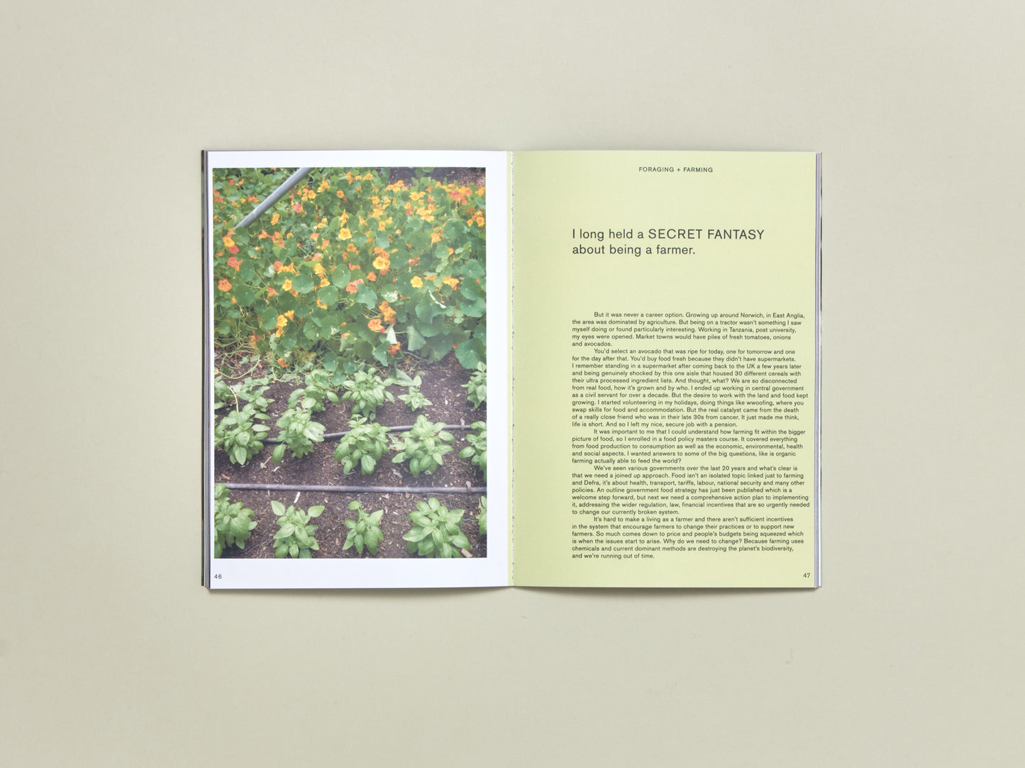 Nature Zine Issue 2: Urban Food