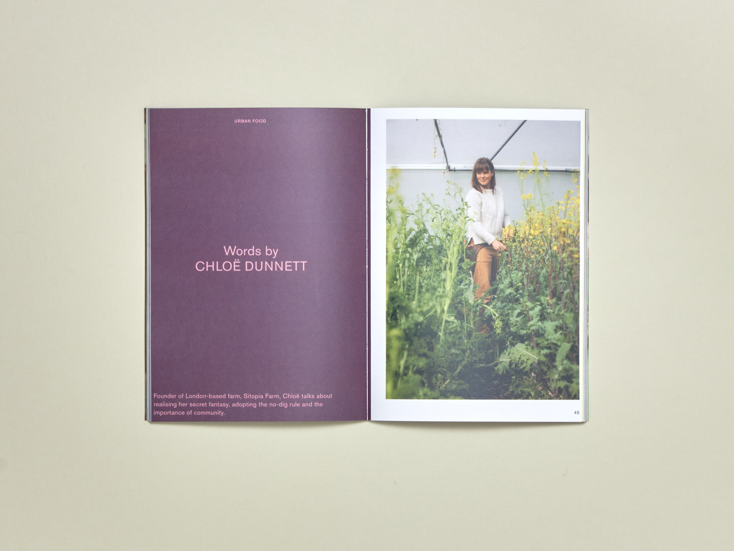 Nature Zine Issue 2: Urban Food