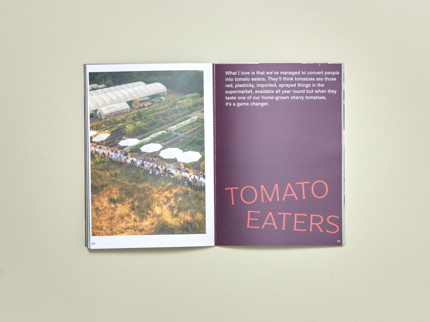 Nature Zine Issue 2: Urban Food