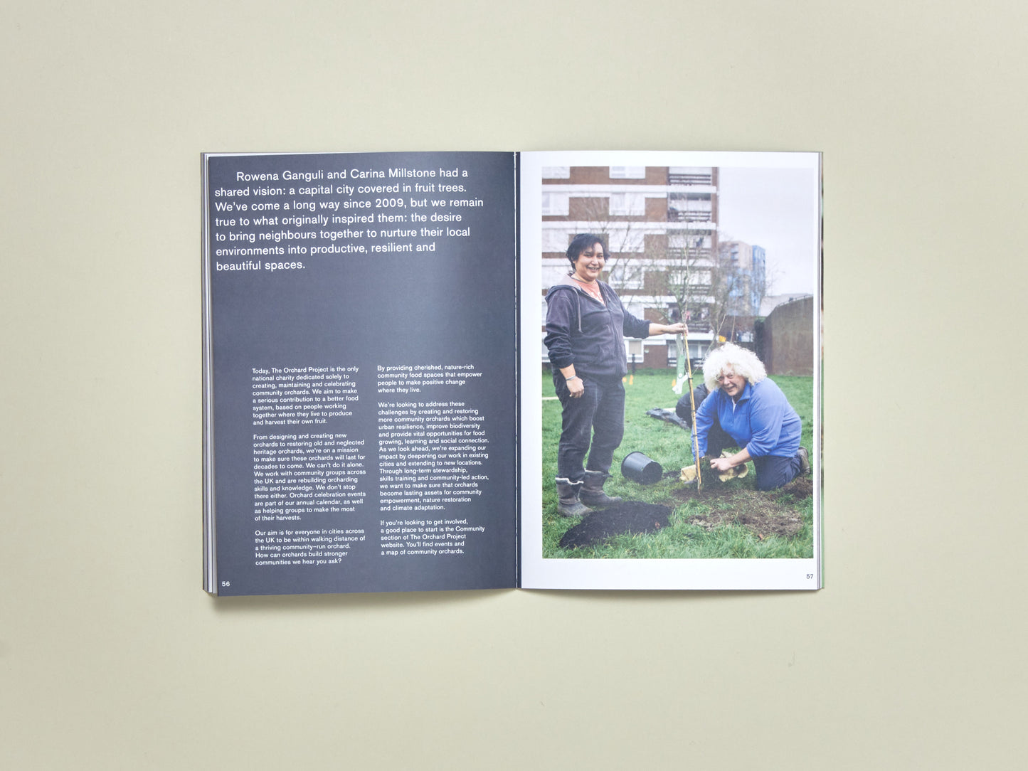 Nature Zine Issue 2: Urban Food