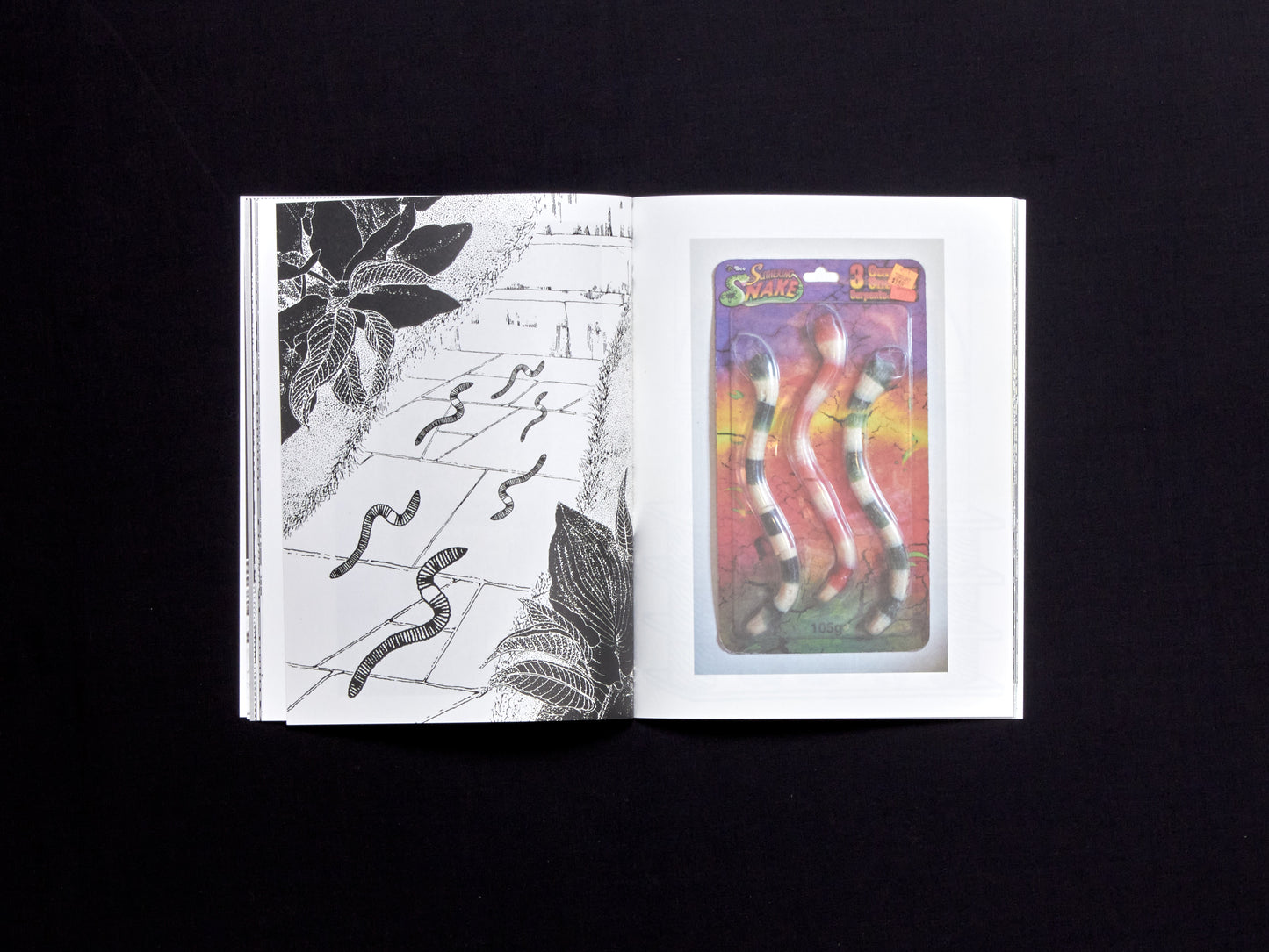 Alicia Nauta, The Collected Series Alicia's Klassic Kool Shoppe