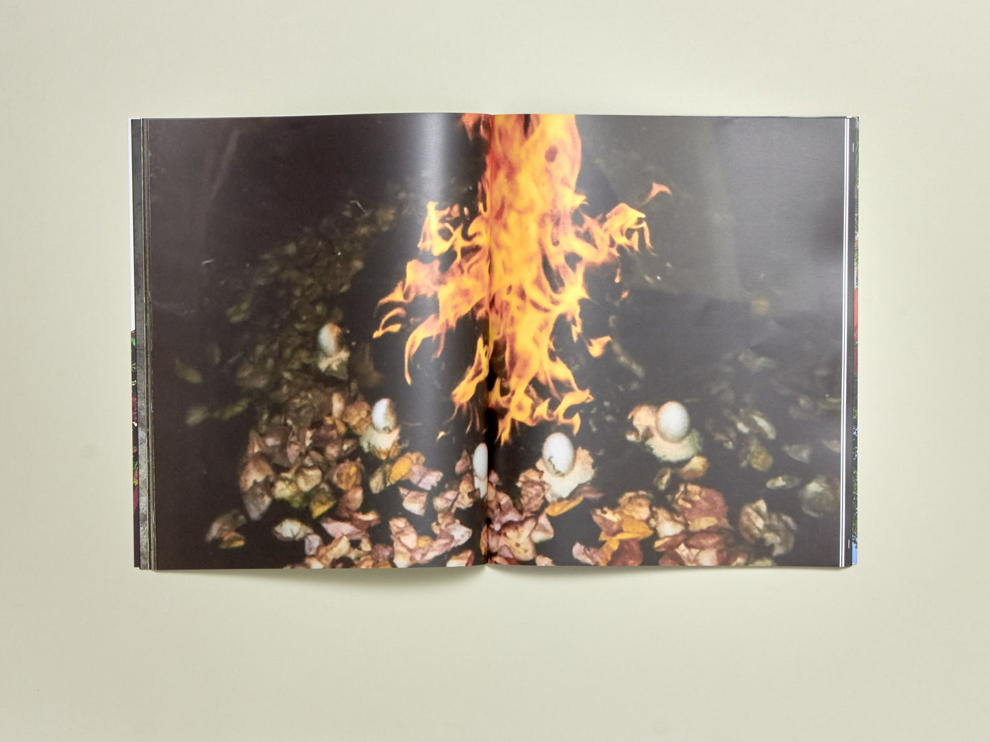 Pina Issue 2: Edgar Calel and Forensic Architecture