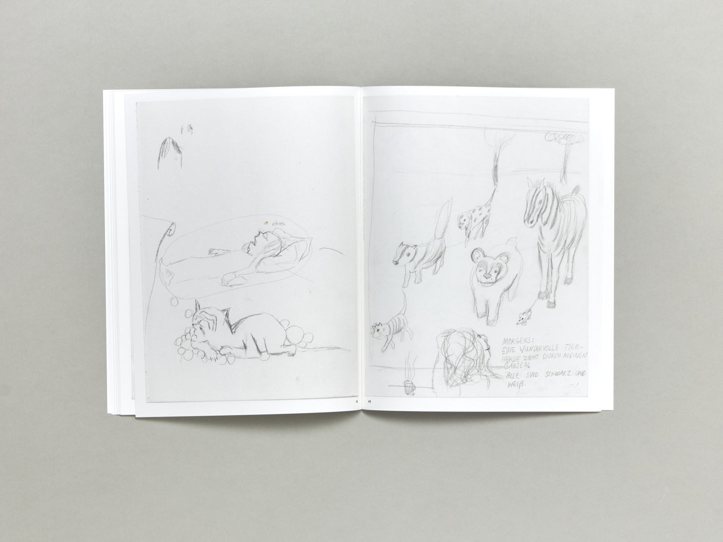 Amelie von Wulffen, Drawings 2015-2025