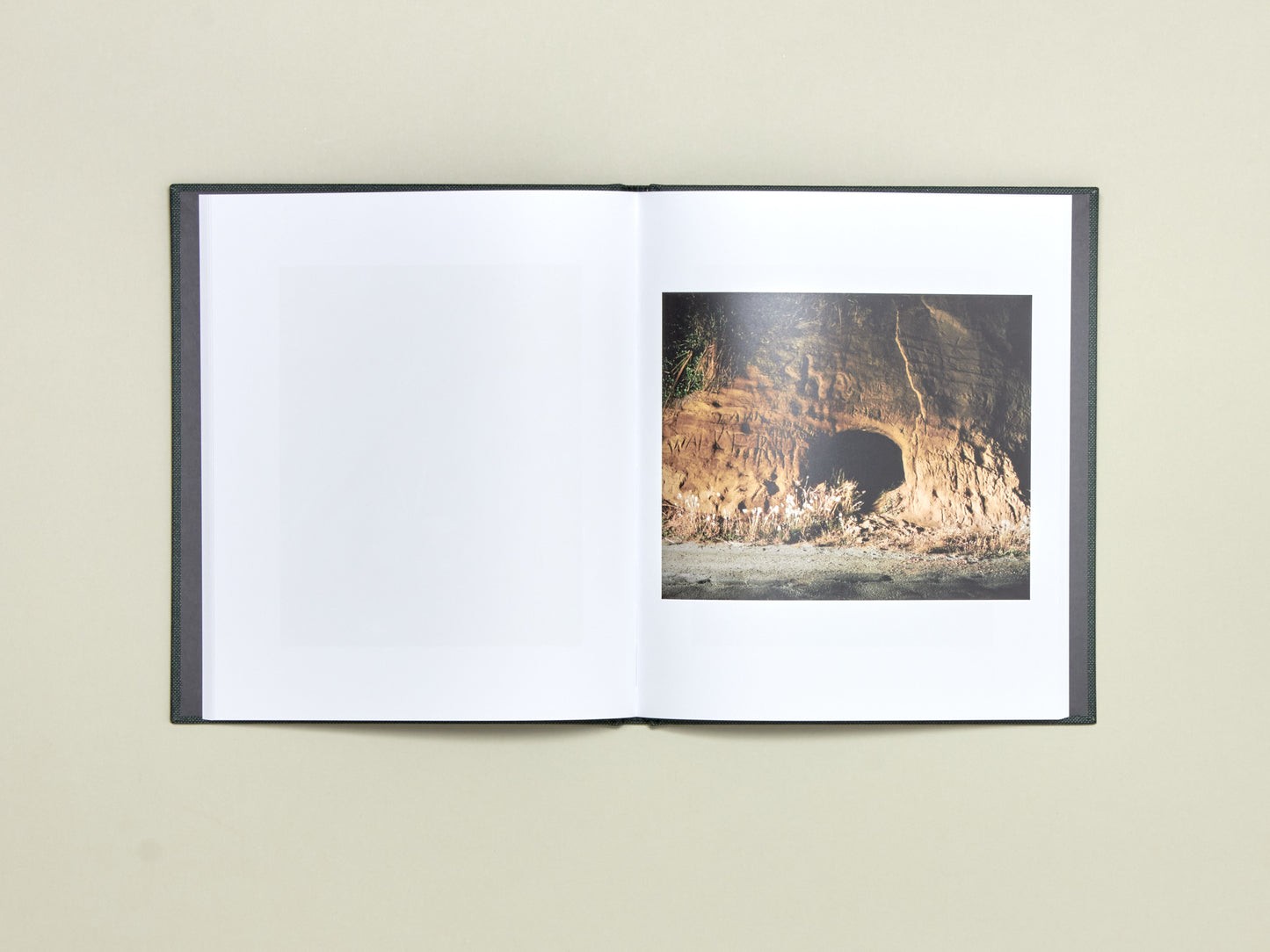 Curran Hatleberg, Lost Coast