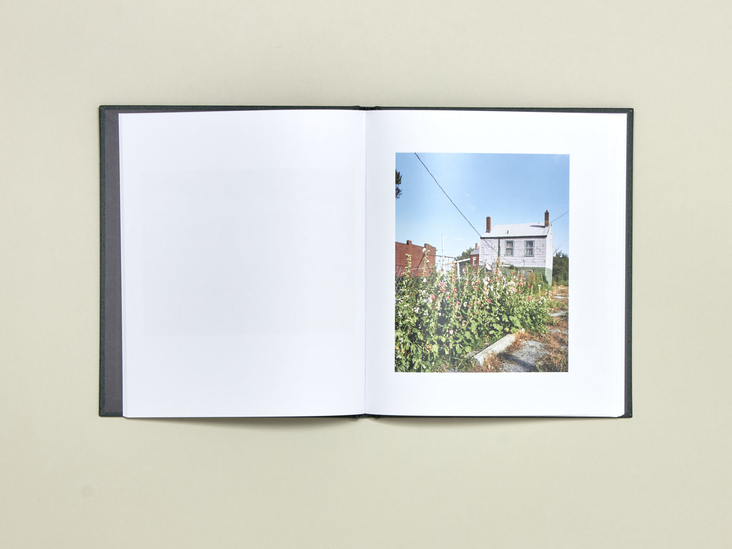 Curran Hatleberg, Lost Coast