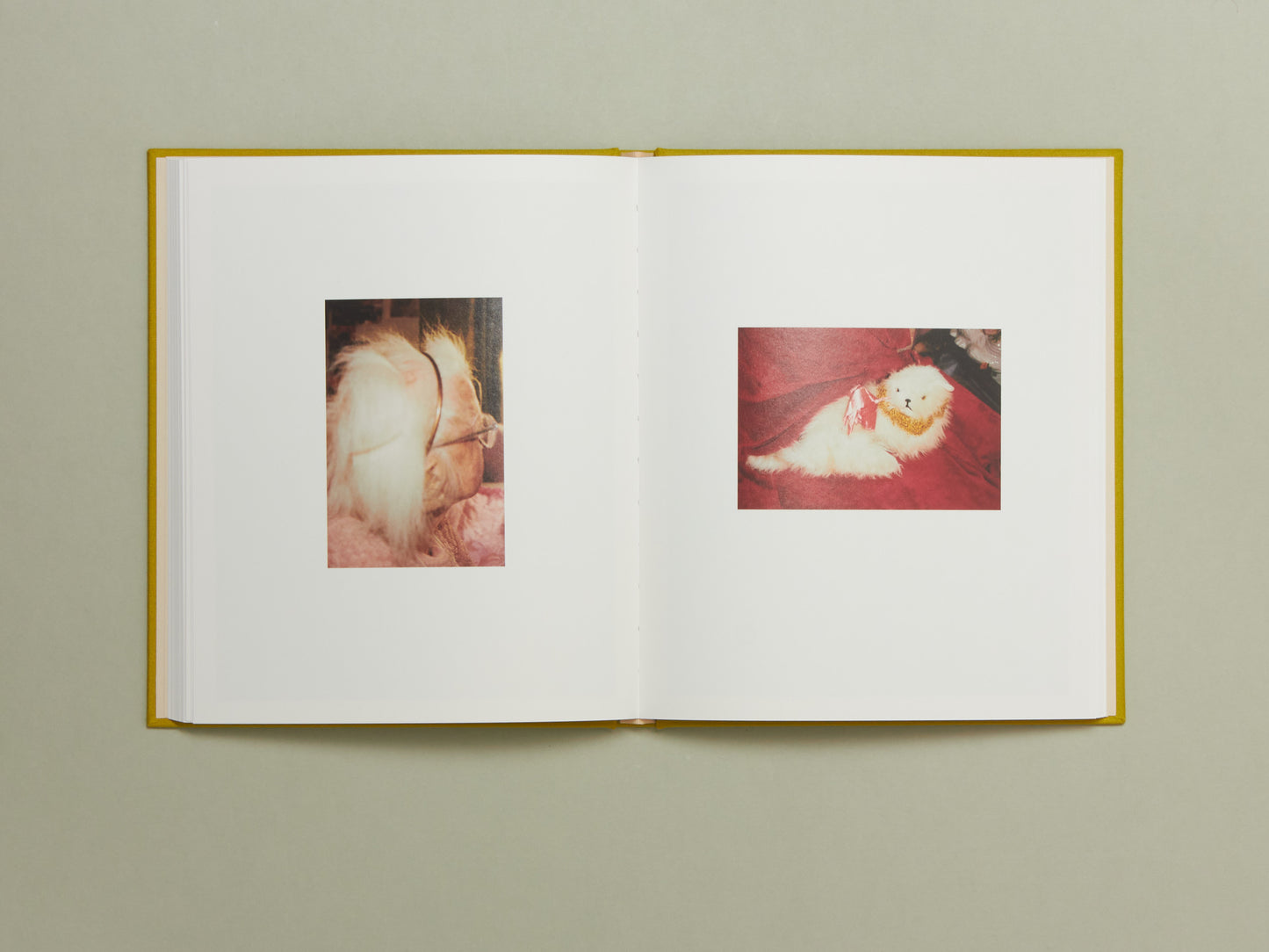 Laura McCluskey, Close to Home