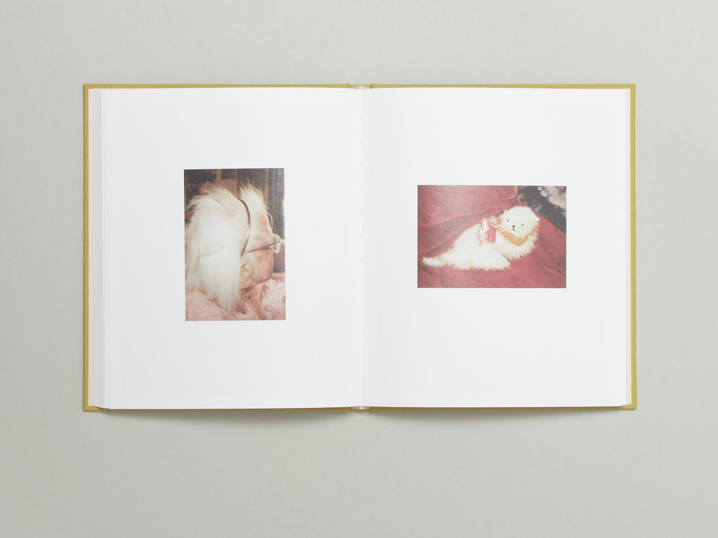 Laura McCluskey, Close to Home