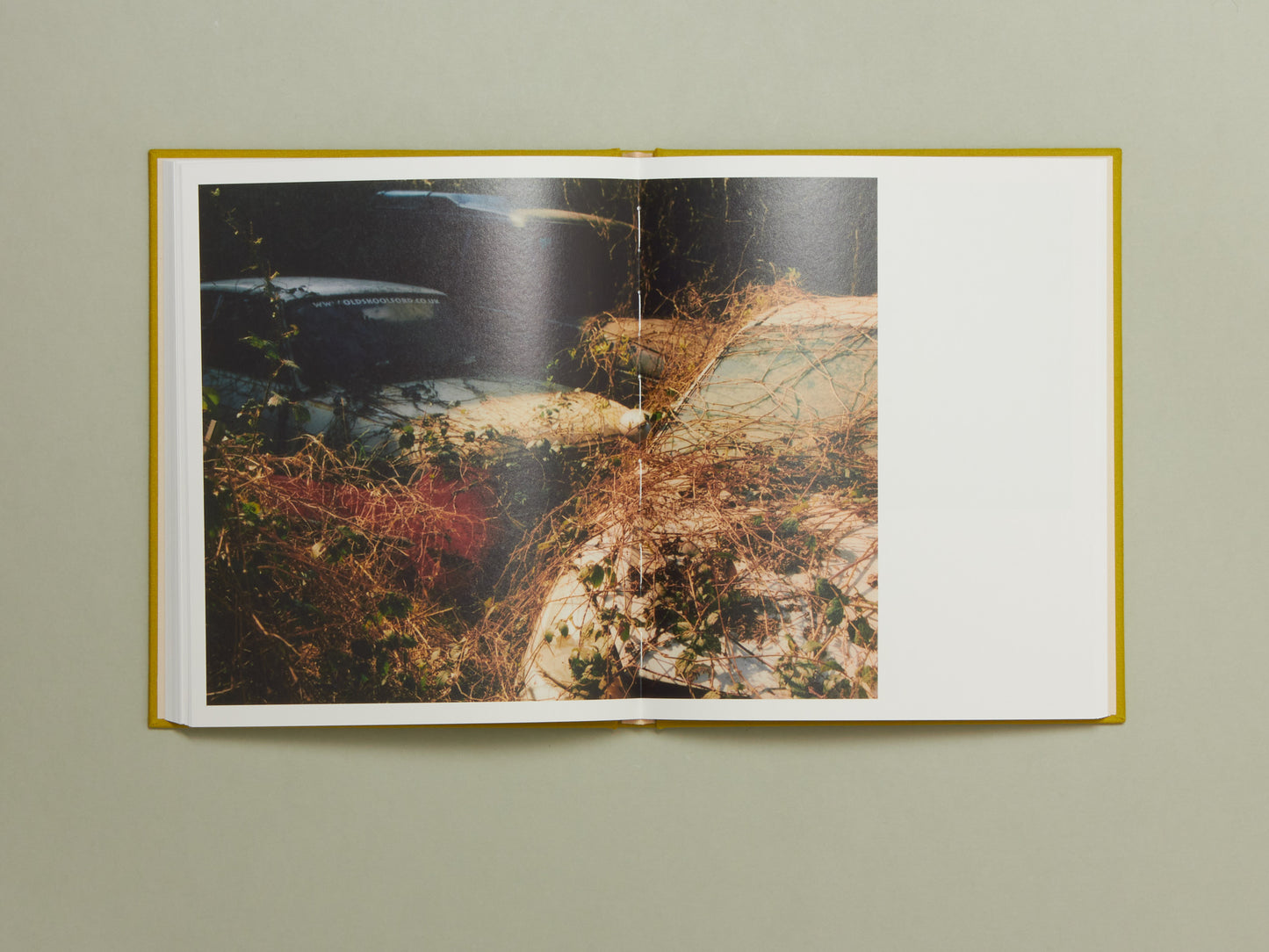 Laura McCluskey, Close to Home