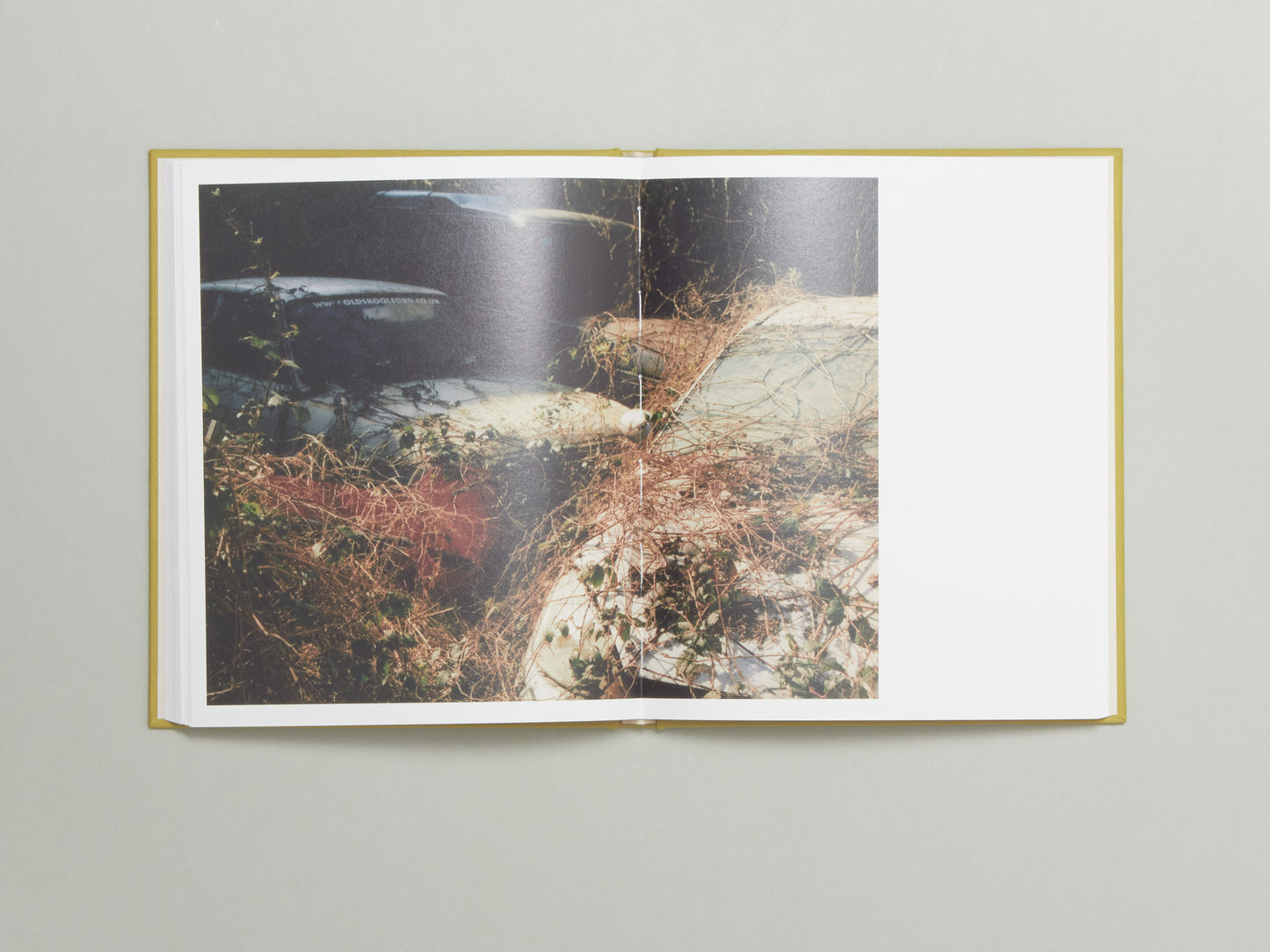 Laura McCluskey, Close to Home