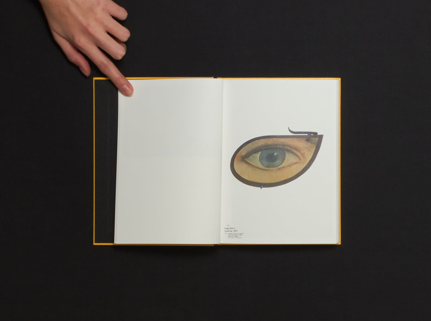 Cécile Poimboeuf-Koizumi & Stephen Ellcock, Clin d'œil