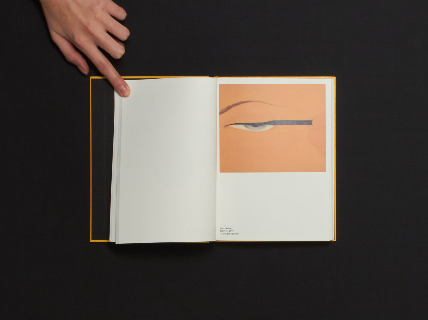 Cécile Poimboeuf-Koizumi & Stephen Ellcock, Clin d'œil