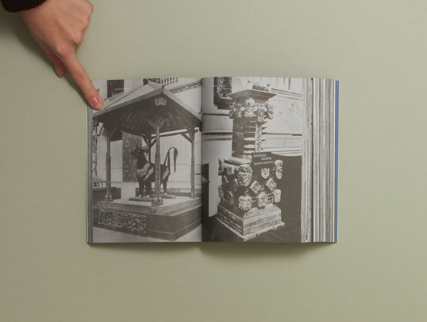 Tamarah Kerr de Haan, Clémentine Deliss and Mirjam Shatanawi, Emptying the Shelves