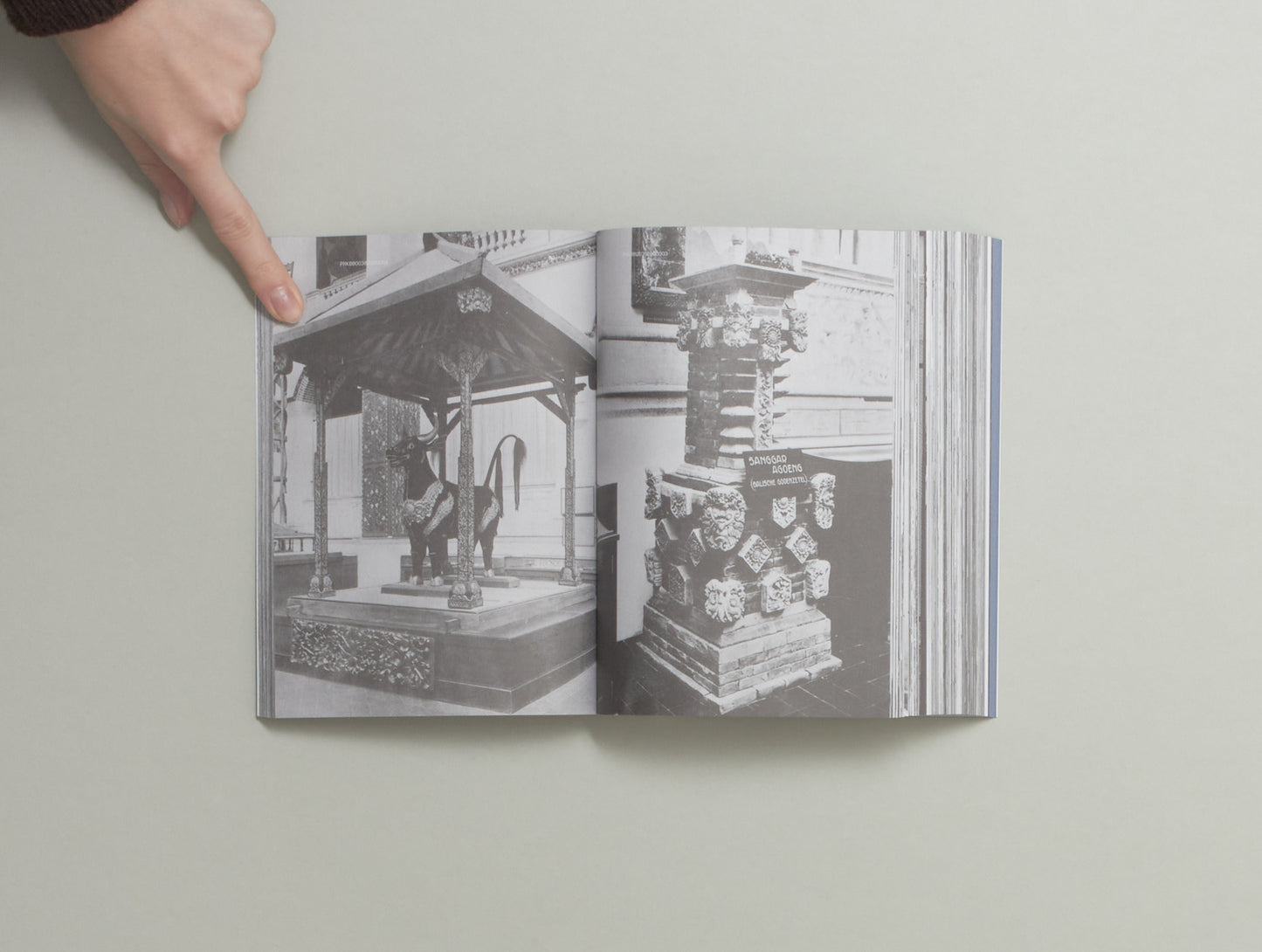 Tamarah Kerr de Haan, Clémentine Deliss and Mirjam Shatanawi, Emptying the Shelves